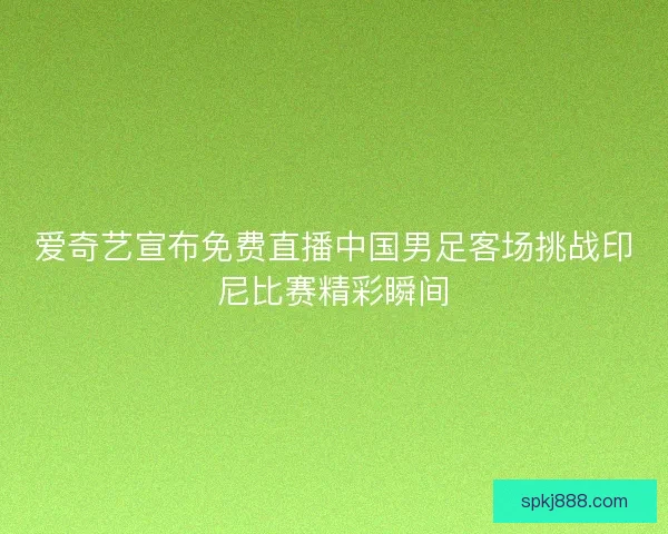 爱奇艺宣布免费直播中国男足客场挑战印尼比赛精彩瞬间 爱奇艺宣布免费直播中国男足客场挑战印尼比赛精彩瞬间