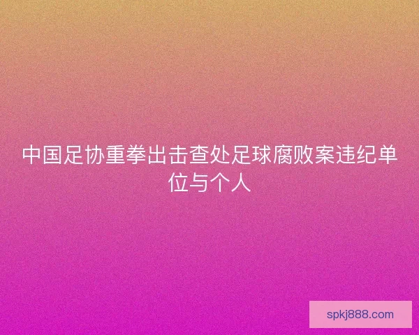 中国足协重拳出击查处足球腐败案违纪单位与个人